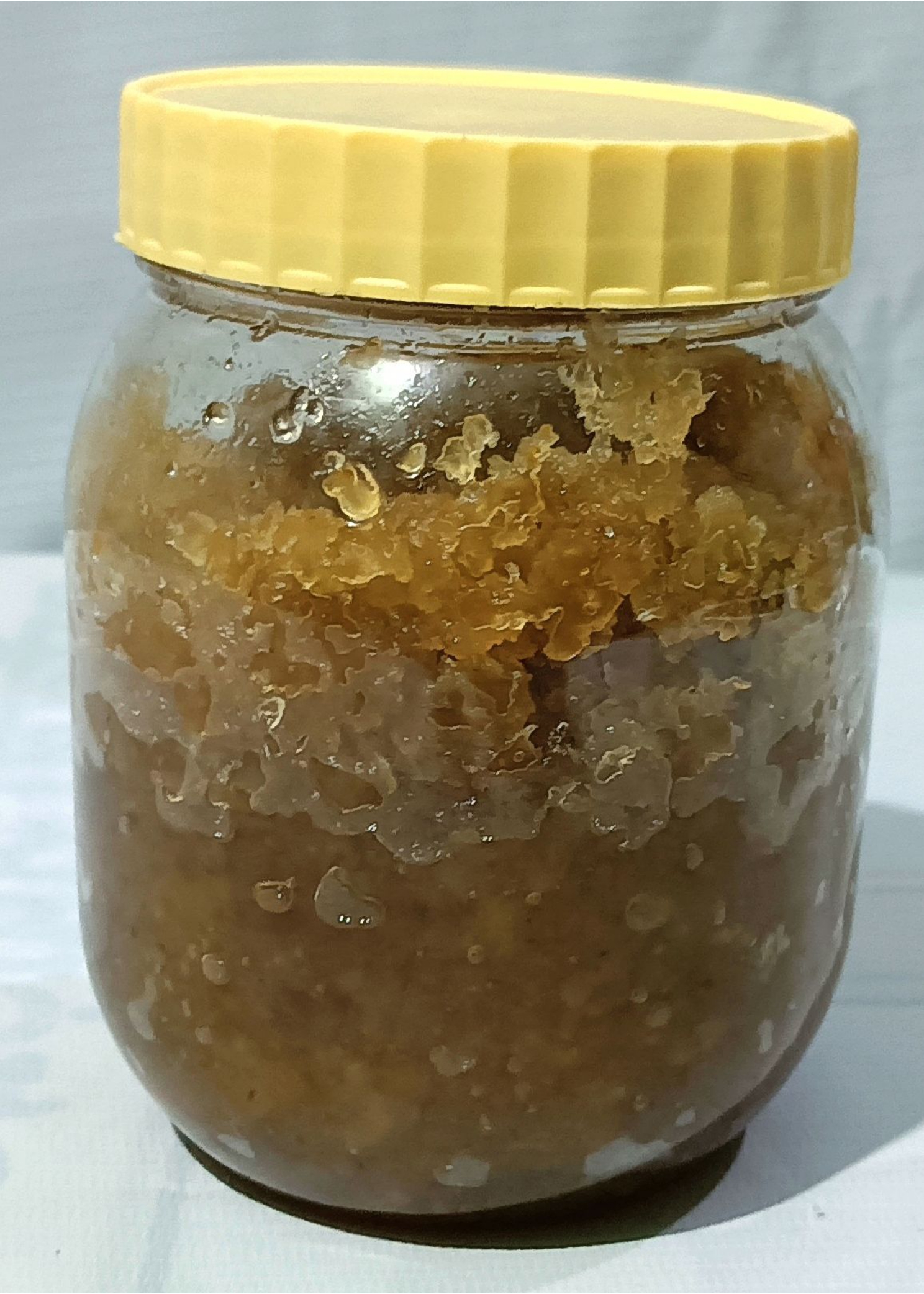 amla murabba_page-0009